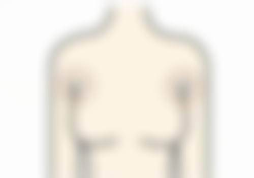 柳成花项目价格表参考