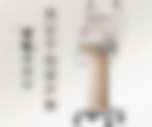 六、秀美颜整形医院价格表：（仅供参考）