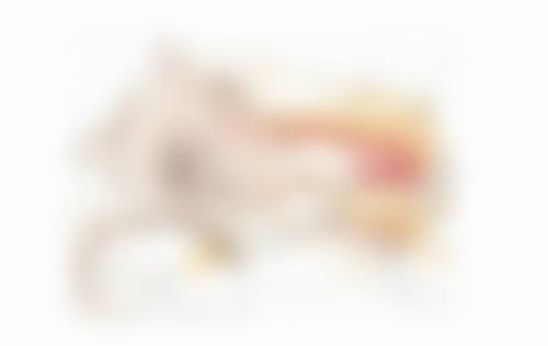 六、东莞致上口腔价格表:(仅供参考)