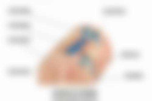 六、洛阳石音医疗美容诊所价格表：（仅供参考）