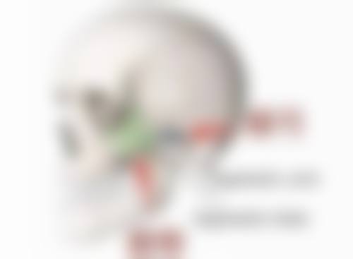 三、北京星美整形医院医生介绍: