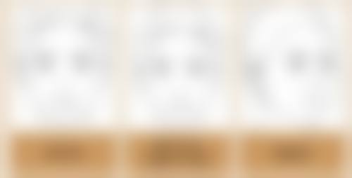 七、韩国乐美尔整形外科价格表：（仅供参考）