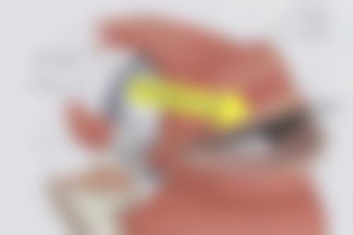 刘文慧项目价格表参考