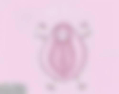 六、韩国TheWay整形医院价格表：（仅供参考）