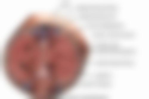 二、重庆万悦整形医院正规吗？来看看医院资质：