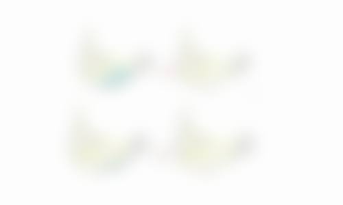 风险与修复：心中有数更安心