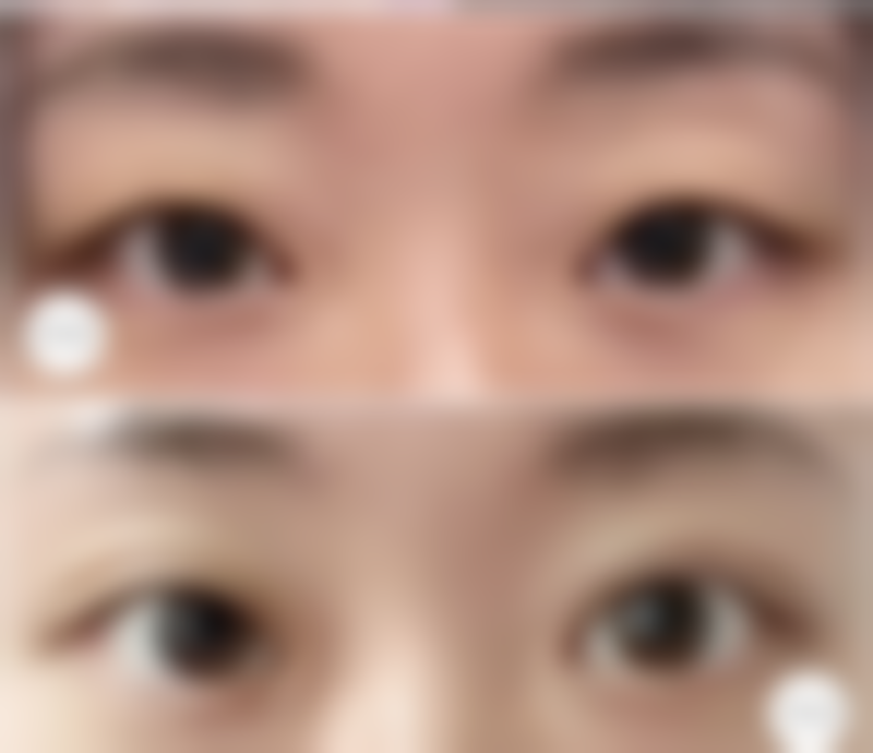 刘文慧项目价格表参考