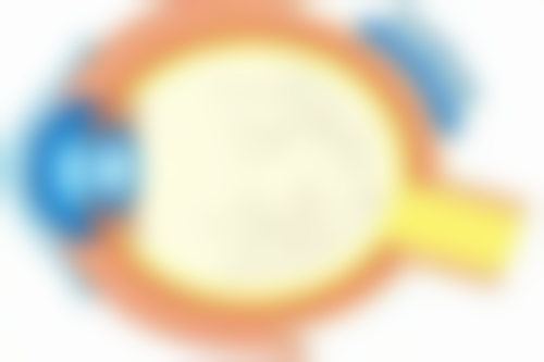 二、厦门俪人整形医院正规吗？来看看医院资质：