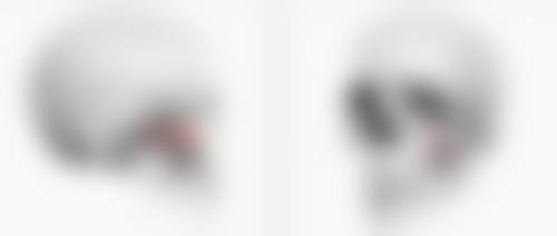 四、长沙麟颐医疗美容开展的主要项目和特色项目：