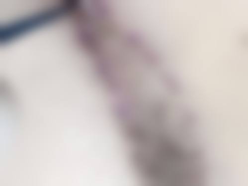 谢志军项目价格表参考