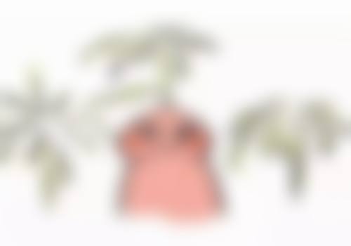 四、济南雍禾植发医疗美容诊所实例