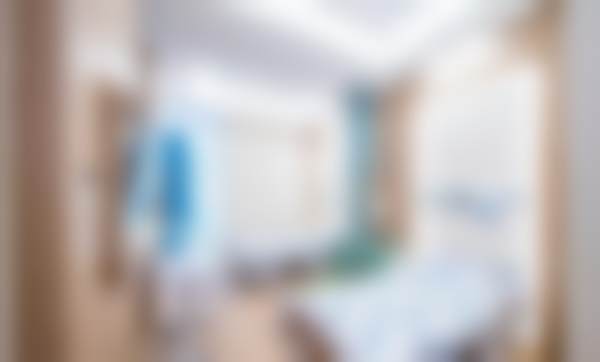 龙鹏辉项目价格表参考