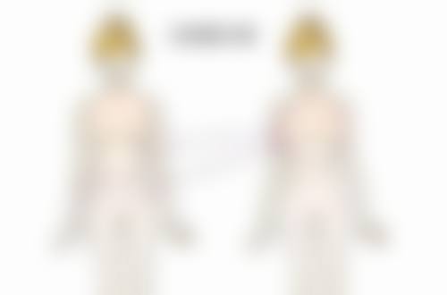 五、石家庄天宏整形美容医院（原石家庄巍名仕）实例