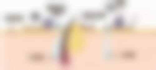 三、赣州术丽易美每龄整形医院基本信息：