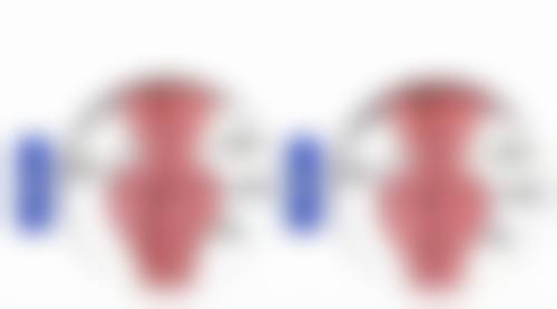 金铮怎么预约？