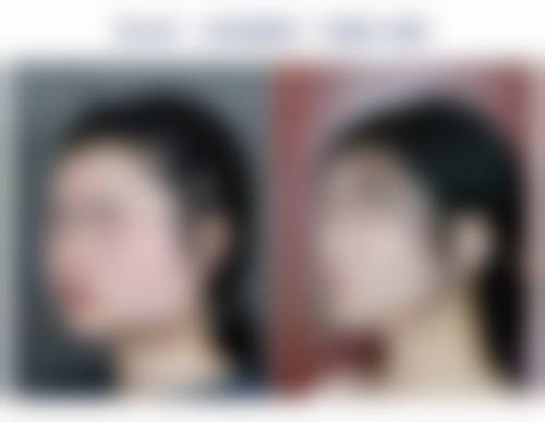 陈秀芸个人资料及简历