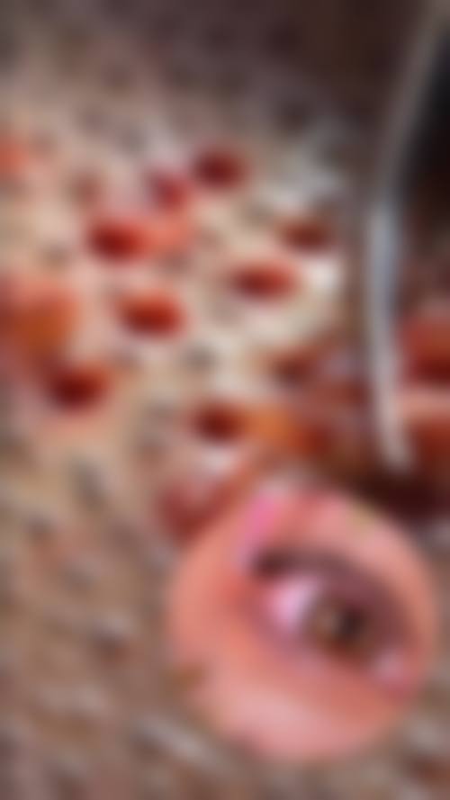 曾一茜怎么预约?