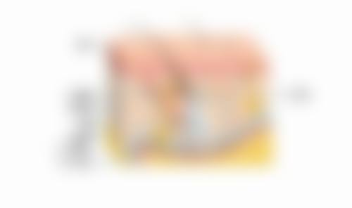 三、韩国B2B整形外科医院基本信息：