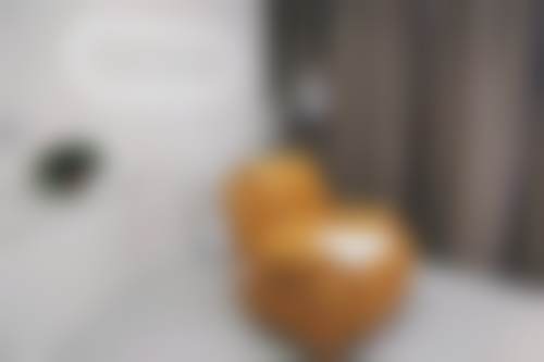 王新新个人资料及简历