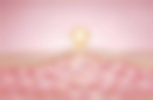 六、钦州凯瑟薇医疗美容诊所价格表:(仅供参考)