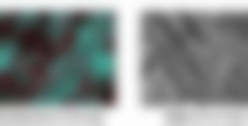 三、泰国塔娜医疗整形医院医生介绍: