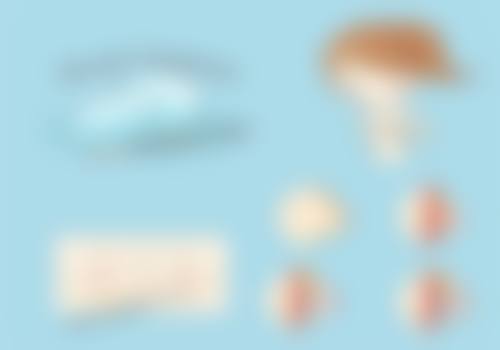 八、新疆昌吉美黛海棠医疗整形美容诊所真实的顾客评价如下：