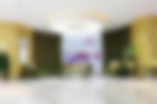 雷国婕个人资料及简历