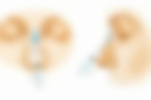 二、景洪泊美雅医疗美容门诊部正规吗?来看看医院资质: