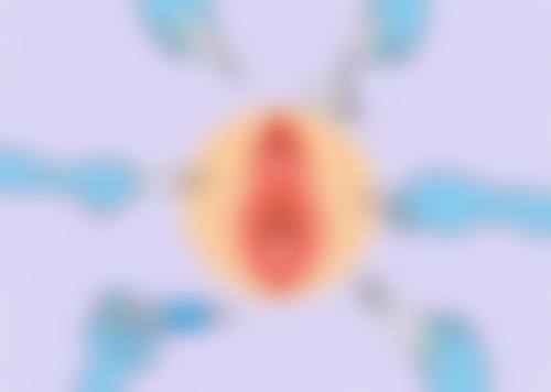 六、温岭莱伯妮医疗美容门诊部价格表：（仅供参考）