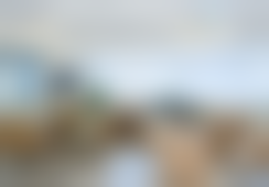 吕巍个人资料及简历