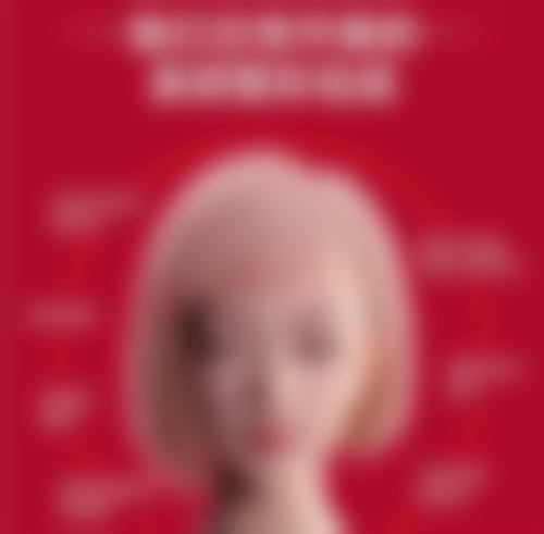 三、安阳苏莱美美容基本信息：