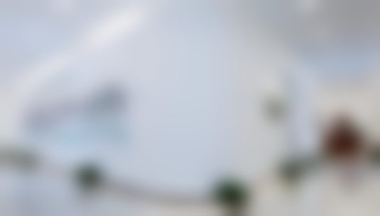 二、孙泽芳医生个人简历