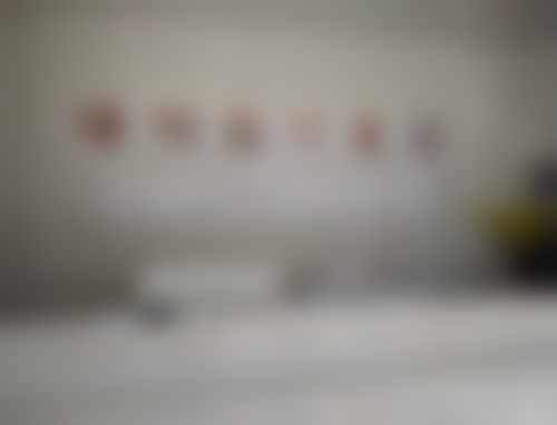 申书祥项目价格表参考