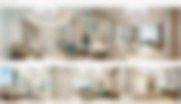 刘正茂项目价格表参考