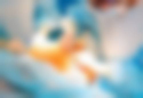 三、宁波明州医院整形美容中 心医生介绍: