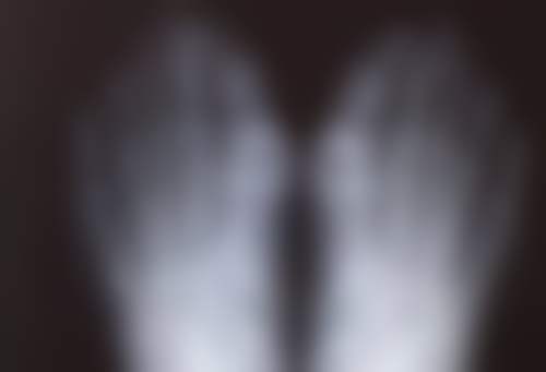 五、延吉金文整形医学美容诊所怎么预约: