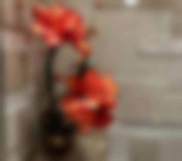 六、韩国波轮美整形医院价格表：（仅供参考）