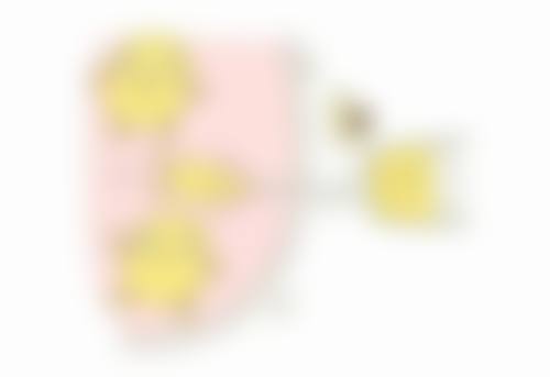 六、宁波北仑星面容整形医院价格表：（仅供参考）