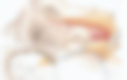 六、北京南加添禾植发医院（整形科）怎么预约：