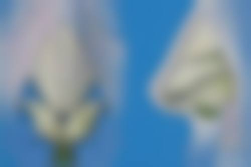 五、烟台韩秀医疗美容整形门诊部实例