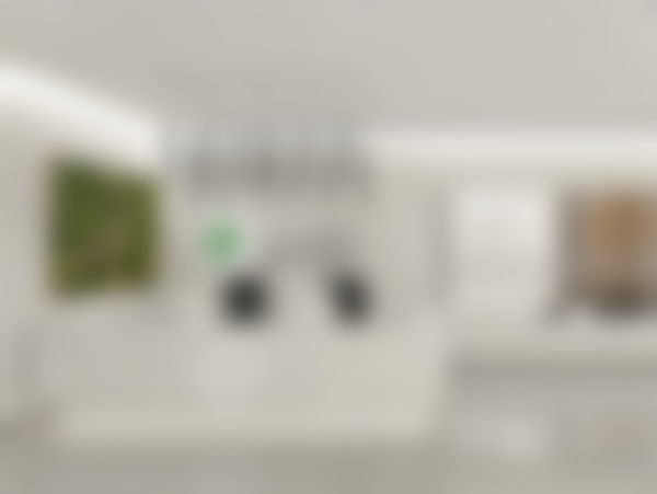 佟猛医生双眼皮手术实例