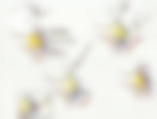 三、长沙中南大学湘雅三医院整形美容科医生介绍: