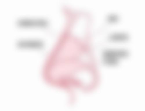 还在愁痘疤不消？日常护理不能少