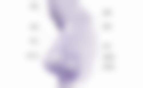 高薪医生项目价格表参考