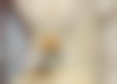 吴会强医生怎么预约？