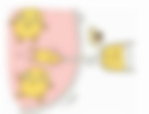 自体耳软骨隆鼻成效能否恒久？手术因素的作用