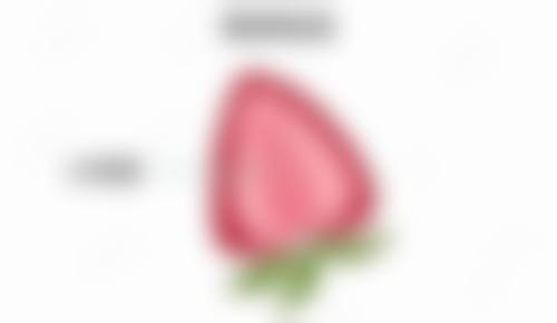 四、郑州科大医院医学私密整形中 心基本信息：