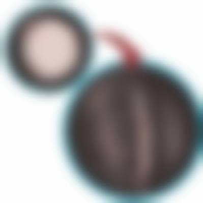 二、南阳仁康医院医疗美容科正规吗?来看看医院资质: