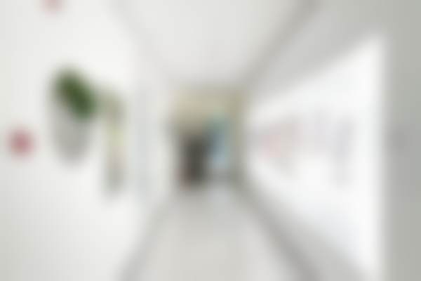 朝阳区常双明在北京纯脂医疗美容门诊部的医院实力