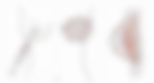 七、笑逐颜开牙科价格表：（仅供参考）